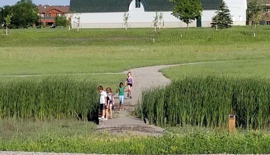Children funnel into the basin along the trails - Brian Reinerts, 2018
